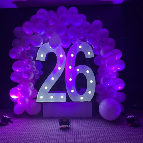 WhatsApp Image 2026-02-13 at 3.17.04 PM